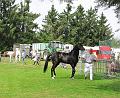 7de Crijtrally 28-7-2013 (229)